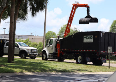 Tree Removal Clearwater FL