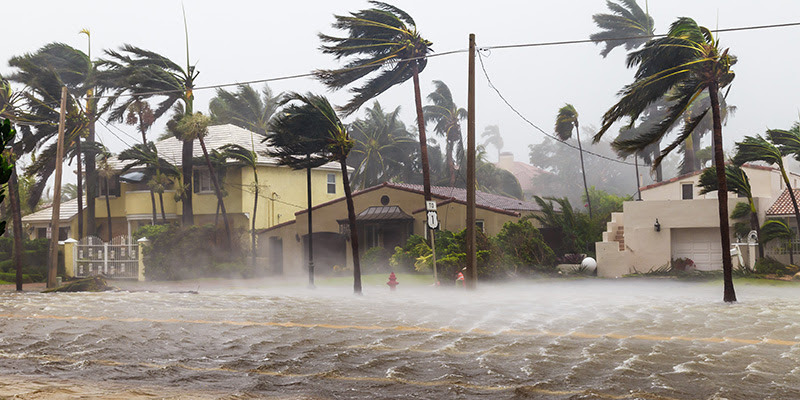 Hurricane Season Safety: Protecting Your Property Beyond Trees